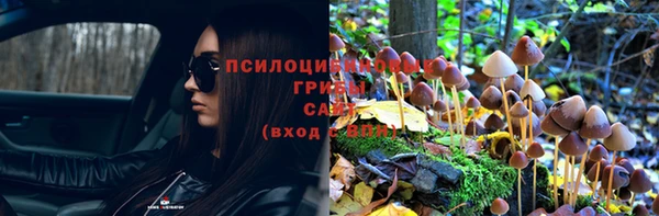 прущие крисы Алексин